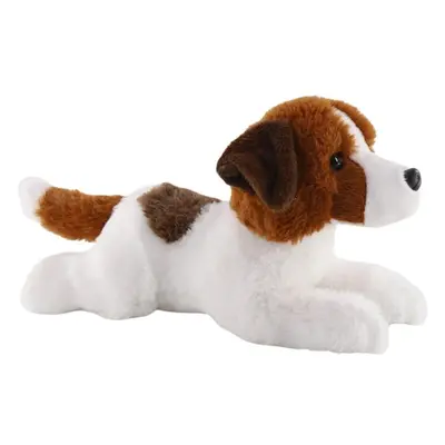 Jack Russell teriér 26 cm