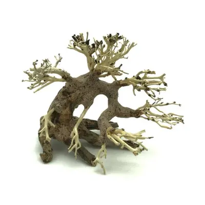 Bonsai Driftwood 15 x 12 x 14 cm č. 7