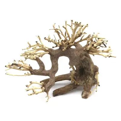 Bonsai Driftwood 20 x 10 x 15 cm č.3