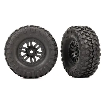 Traxxas kolo 1.0", disk twin spoke, pneu Canyon Trail (2)