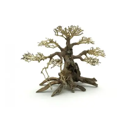 Bonsai Driftwood 40 x 30 x 33 cm č. 100