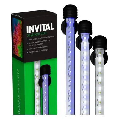 INVITAL DayNight LED 11,4W 48,5cm