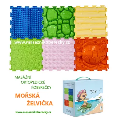 ORTODON Mořská želvička / SEA TURTLE