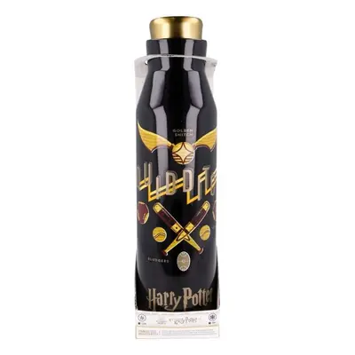 Nerezová termoláhev na pití Stor Harry Potter 580 ml