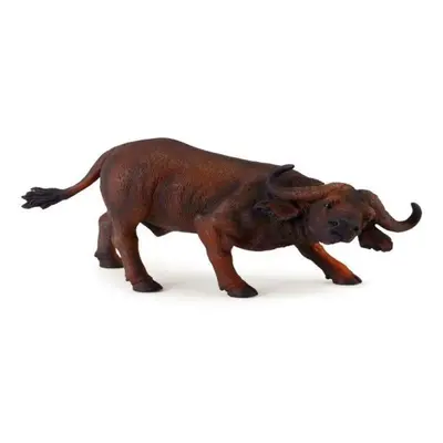 Collecta býk africký