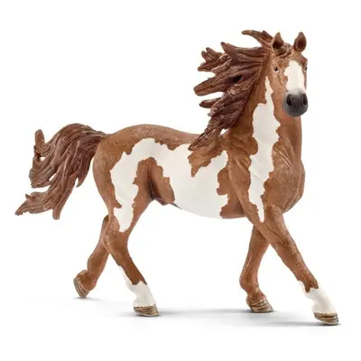 Schleich 13794 pinto hřebec