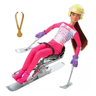 Mattel barbie zimní sporty paralympijská lyžařka, hcn33