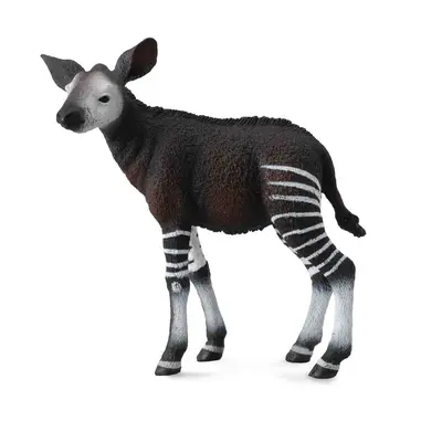 Collecta okapi mládě