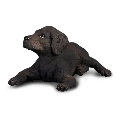 Collecta labradorský retrívr štěně