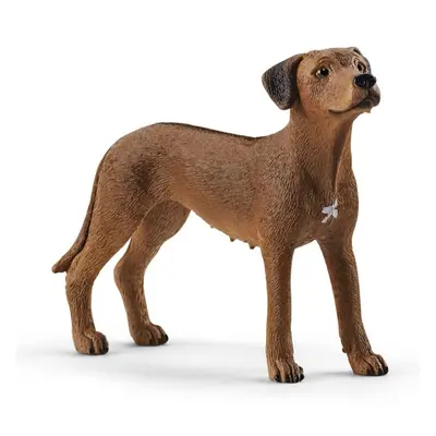 Schleich 13895 ridgback rhodéský