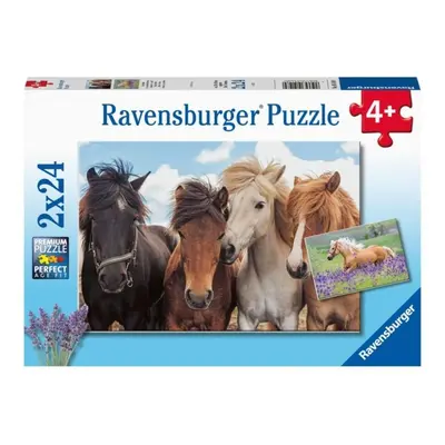 Ravensburger 05148 fotky koní 2x24 dílků