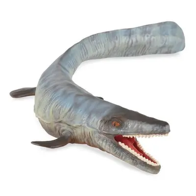 Collecta tylosaurus