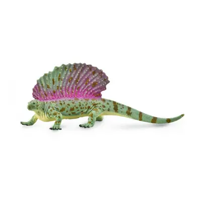 Collecta edaphosaurus