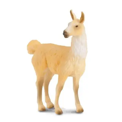 Collecta lama