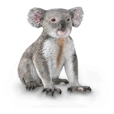 Collecta koala