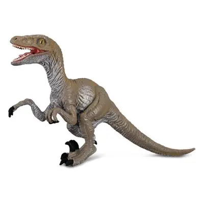 Collecta velociraptor