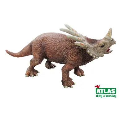 Atlas styracosaurus 30 cm