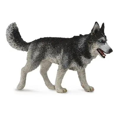 Collecta sibiřský husky