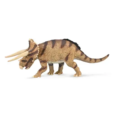 Collecta triceratops horridus