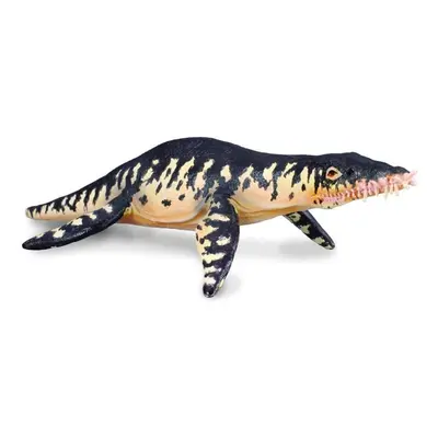 Collecta liopleurodon