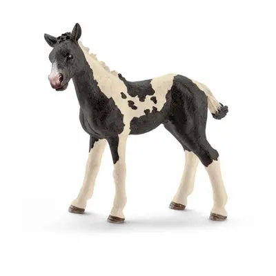 Schleich 13803 pinto hříbátko