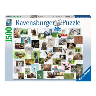 Ravensburger 16711 puzzle funny animals collage 1500 dílků