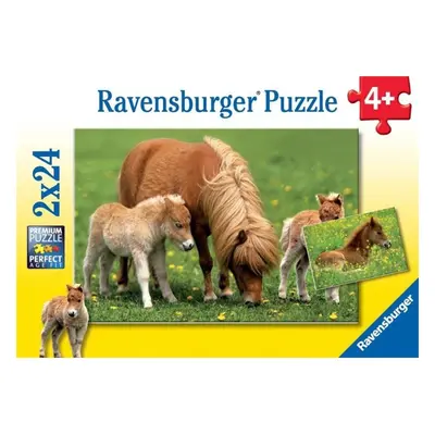 Ravensburger 08994 puzzle roztomilí poníci 2x24 dílků