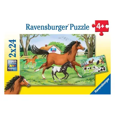 Ravensburger 08882 puzzle svět koní 2x24 dílků