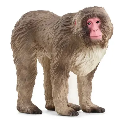 Schleich 14871 makak červenolící