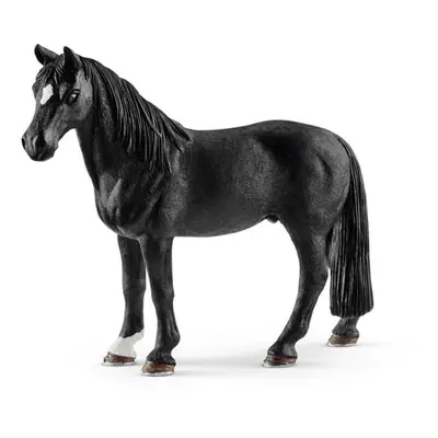 Schleich 13832 tenessee valach