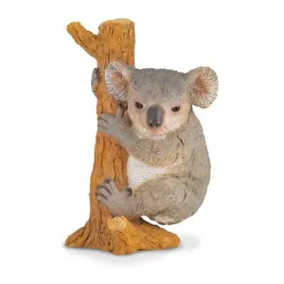 Collecta koala na stromě