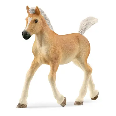 Schleich 13951 haflingerské hříbě