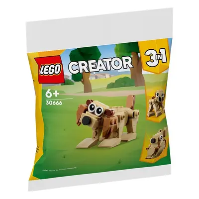 Lego® creator 30666 3v1: pes, lenochod, veverka