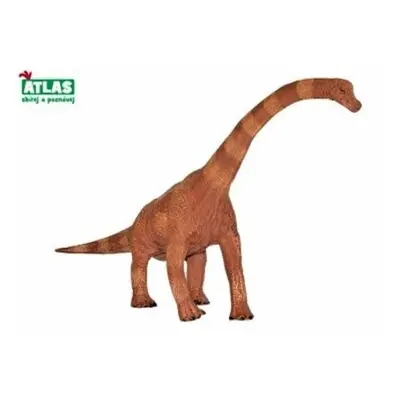 Atlas brachiosaurus 30 cm