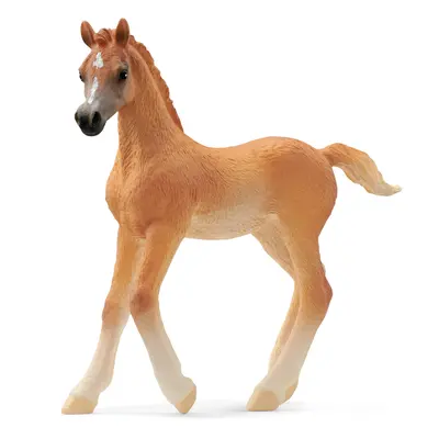 Schleich 13984 arabské hříbě