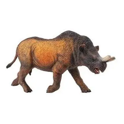 Collecta megacerops