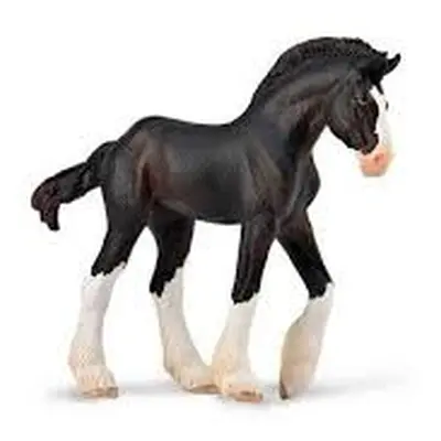 Collecta hříbě clydesdale black