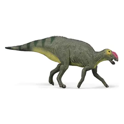 Collecta hadrosaurus