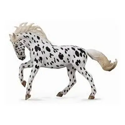 Collecta knabstrupper mare - černý leopard