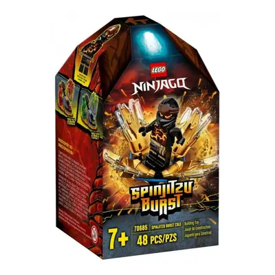 Lego® ninjago 70685 spinjitzu úder – cole