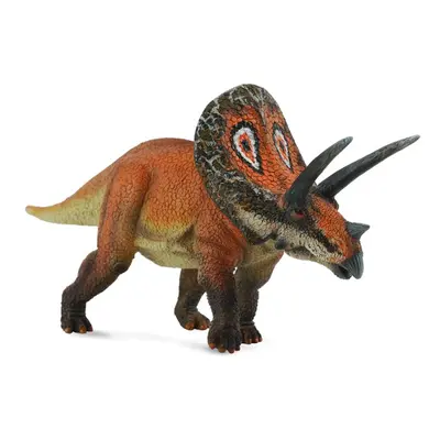 Collecta torosaurus