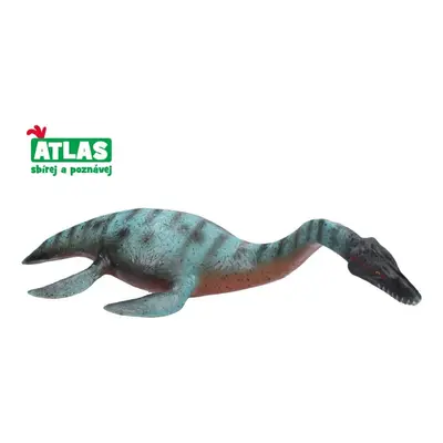 Atlas plesiosaurus 25 cm