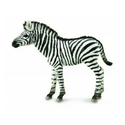 Collecta zebra