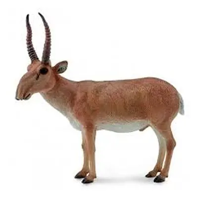 Collecta antilopa saiga