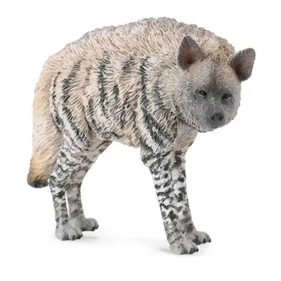 Collecta hyena žíhaná