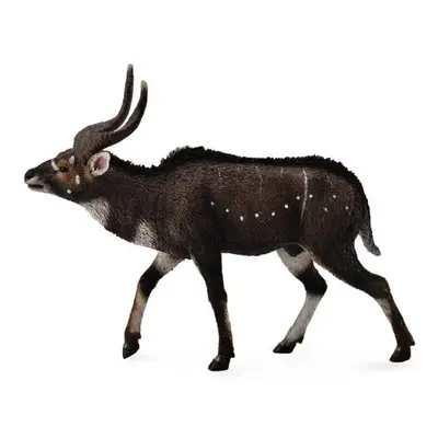 Collecta nyala horská