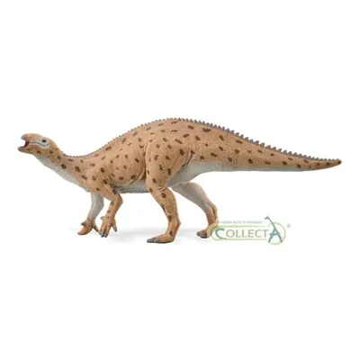 Collecta fukuisaurus