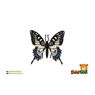 Zooted motýl tropický papilio/otakárek fenyklový