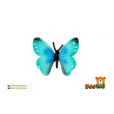 Zooted motýl tropický morpho helena