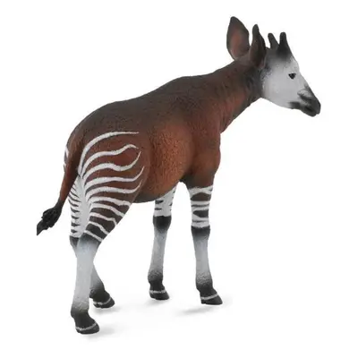 Collecta okapi